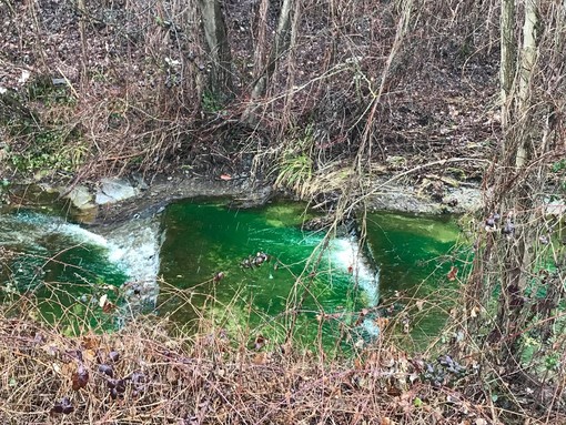 Cairo, il rio 'Ville' si colora di verde acceso (FOTO e VIDEO)