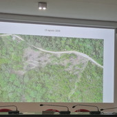 Foreste &quot;resilienti&quot; per contrastare gli incendi. A Spotorno il progetto pilota di Fondazione CIMA che fa scuola (FOTO e VIDEO)