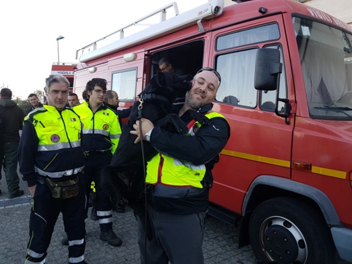 I cani cerca persone, ecco come operano le Unità Cinofile