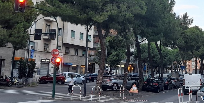 Ramo pericolante in corso Tardy e Benech, al via la rimozione