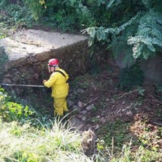 Cairo Montenotte: pulizia per il rio Tanarello