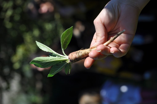 Consapevolezza, conservazione e sostenibilità ambientale: nel finalese torna la rassegna &quot;Autunno Diffuso&quot;