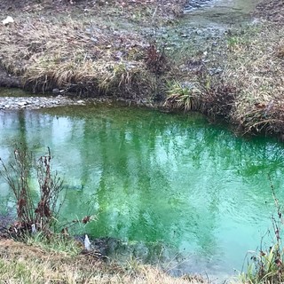 Cairo, l'acqua del rio 'Ville&quot; diventa verde: la colpa è di un tracciante (FOTO e VIDEO)