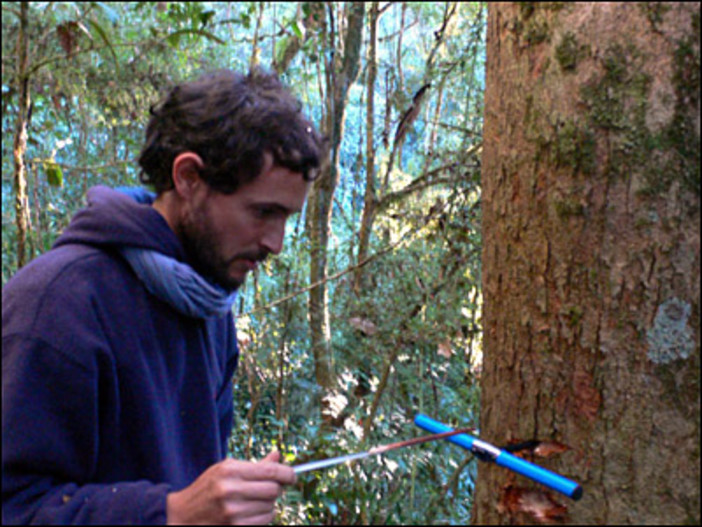 Vado: a Bossarino nasce Tecnoforest per interventi di riforestazione