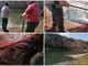La pesca di mare sbarca in Val Bormida: i pescatori nolesi in soccorso del lago di Romana (FOTO e VIDEO)