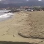 Savona, il mare di parte di via Nizza torna balneabile, il sindaco Russo revoca l'ordinanza di divieto