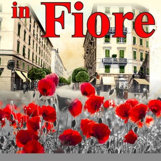 Il centro storico di Savona si anima con i colori e i profumi di &quot;Savona in fiore&quot;, mostra di florovivaismo e non solo