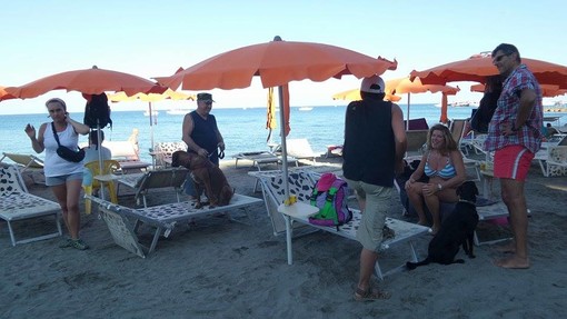 &quot;A Savona serve una spiaggia per la balneazione dei cani&quot; la richiesta dei Verdi