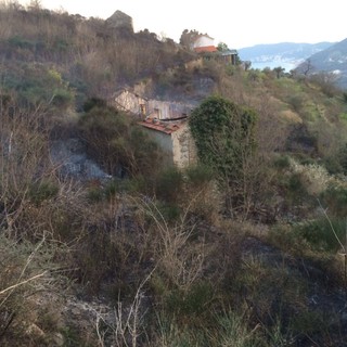 Incendio boschivo sopra Solva nelle alture Alassine, preoccupazione per le case vicine