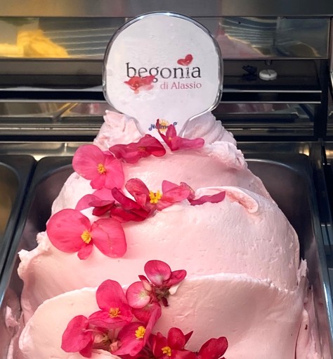 &quot;Begonia di Alassio”, un gelato pronto a conquistare i mercati internazionali