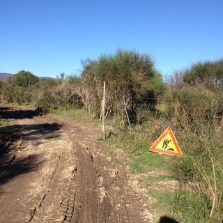 Disboscamento San Bernardino, gli albergatori lanciano l'allarme:&quot;Preoccupati per le conseguenze sul futuro del turismo&quot;