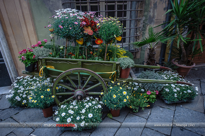 Fiori d'Albenga 2012: le foto