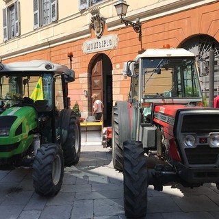 Albenga, domenica 19 maggio torna la Festa di San Isidoro