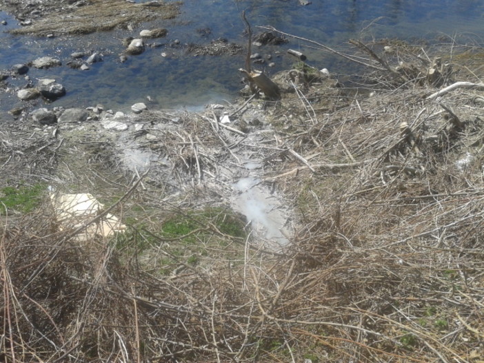 Cairo, sversamento nel fiume Bormida (FOTO)