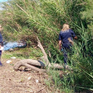 Albenga, controlli nel parco Foce e nella zona del Villino XXV Aprile: tre denunce e sequestro di droga e contanti