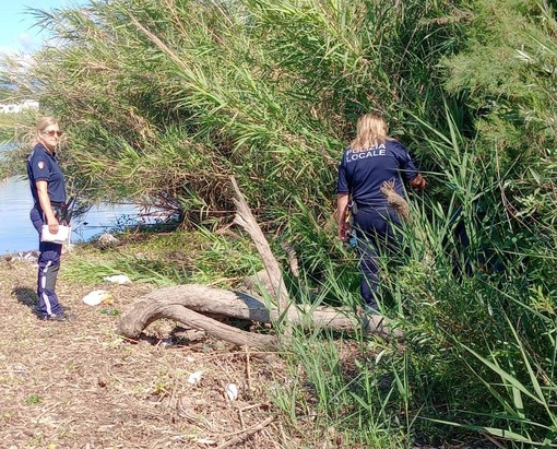 Albenga, controlli nel parco Foce e nella zona del Villino XXV Aprile: tre denunce e sequestro di droga e contanti