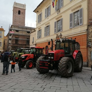 Albenga: festa di Sant'Isidoro, i buoi traineranno la statua del patrono degli agricoltori