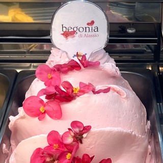 &quot;Begonia di Alassio”, un gelato pronto a conquistare i mercati internazionali