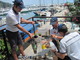 Ceriale: sequestrata attrezzatura per la pesca abusiva