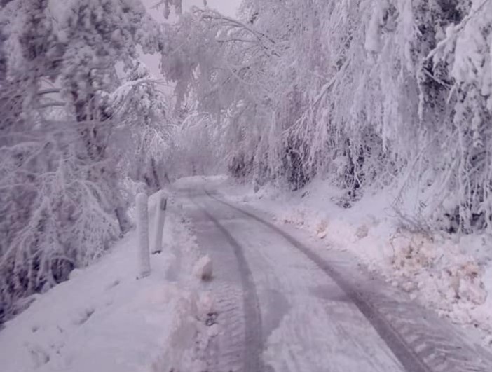 Maltempo, la consigliere provinciale Isella: &quot;Grazie per l’immenso lavoro fatto questa notte durante l'allerta neve arancione&quot;