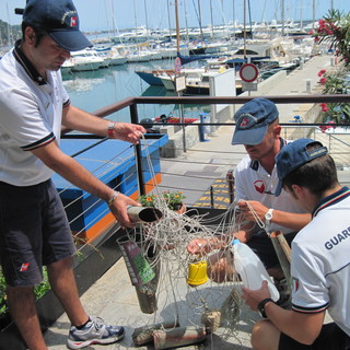 Ceriale: sequestrata attrezzatura per la pesca abusiva