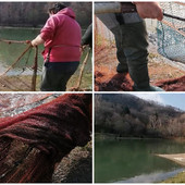 La pesca di mare sbarca in Val Bormida: i pescatori nolesi in soccorso del lago di Romana (FOTO e VIDEO)