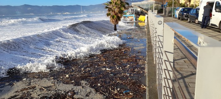 Savona, il sindaco Russo firma l'ordinanza per bruciare il legname portato sulla spiaggia dall'ultima mareggiata