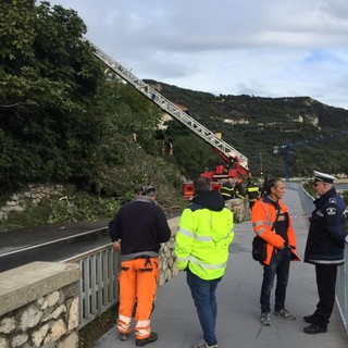 Alberi sulla carreggiata, Aurelia riaperta a Finale Ligure