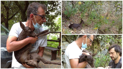 Foto tratte dalla pagina Facebook 'Grotte di Toirano'