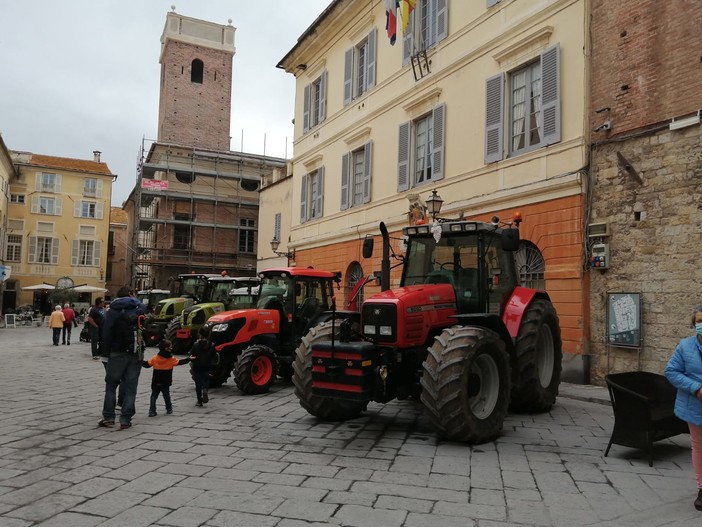 Albenga: festa di Sant'Isidoro, i buoi traineranno la statua del patrono degli agricoltori