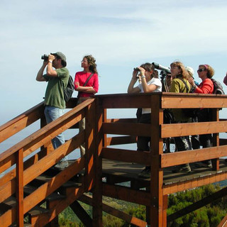 EuroBirdwatch al Parco del Beigua