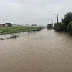 Maltempo, Albenga di nuovo allagata: diverse le strade chiuse al traffico