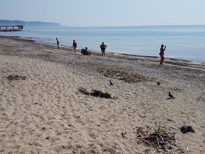 Ceriale, spiagge libere sporche. Fresia: &quot;E' una discarica, pericoloso per i bambini&quot;