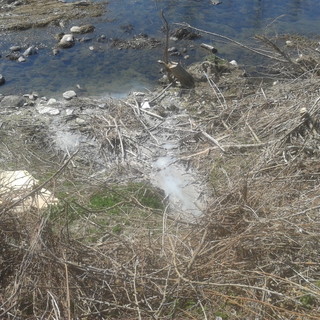 Cairo, sversamento nel fiume Bormida (FOTO)