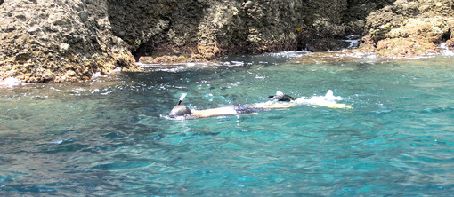 Finale Ligure, giornata di snorkeling dedicata ai piu' piccoli