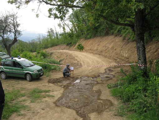 L’attività di vigilanza della Forestale nel 2012: 750 reati comunicati all’Autorità Giudiziaria e oltre 1100 persone sanzionate