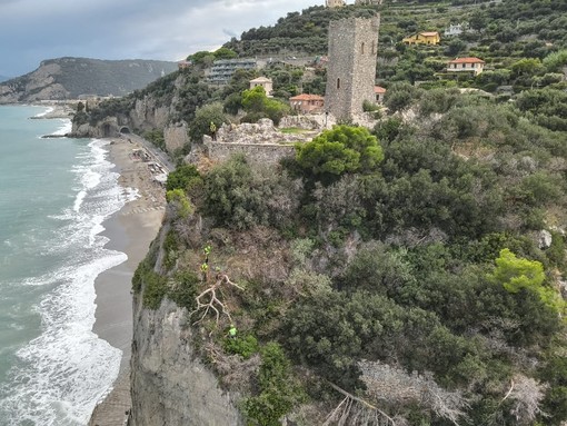 Finale, alberi pericolanti dopo il maltempo a Capo San Donato: le complesse operazioni di taglio