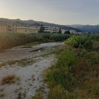 Albisola, pulizia del torrente Sansobbia: ordinanza del sindaco