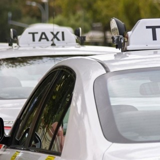 Donna lasciata a piedi dal taxi in stazione perchè aveva il cane, l'autista è allergico