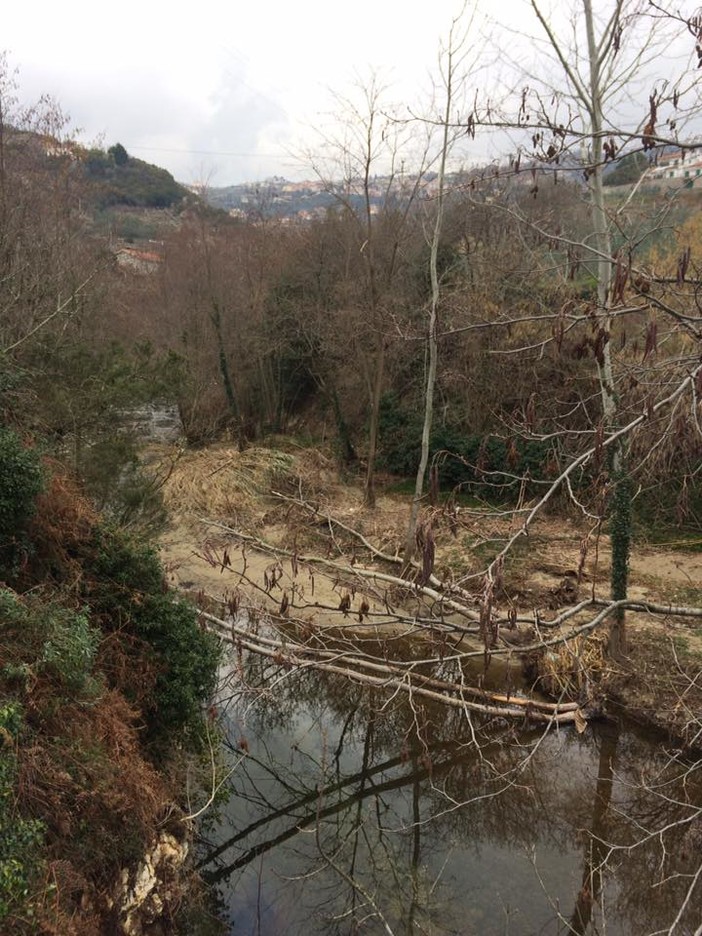 Il comune di Tovo San Giacomo pulisce il torrente Maremola