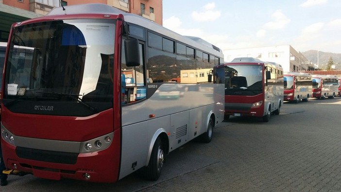 Diverbio tra due persone, volano pugni sul bus: un po' di scompiglio ma nessun ferito