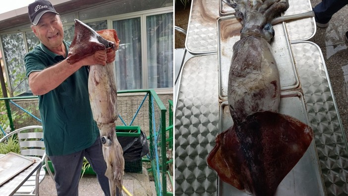 Albenga, pescato un totano gigante dietro l’Isola Gallinara