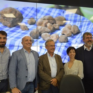 Tartufi, a Millesimo la Festa nazionale delle delizie pregiate: si preannuncia edizione record