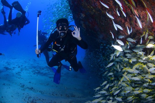 La passione per il mare, la subacquea e il &quot;Mare Nostrum&quot;