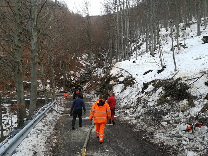 Calizzano, il sindaco Olivieri: &quot;Il rischio alberi pericolanti è scongiurato&quot;