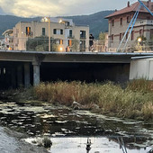 Spotorno, tubo della fognatura rotto la causa dei miasmi alla foce del Crovetto