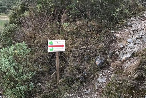 Tutto pronto per la Val Maremola Trail