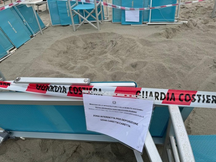 Laigueglia, un'ordinanza per tutelare la nidificazione della tartaruga &quot;Caretta Caretta&quot; sulla spiaggia dei Bagni Diana