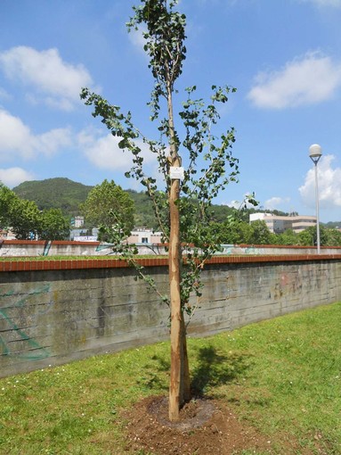 Savona, donazioni a favore del verde pubblico savonese