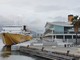 Savona, traghetti della Corsica Ferries ormeggiati in porto. Canavese (Autorità Portuale): &quot;Rientreranno nel pomeriggio a Vado&quot;